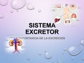 SISTEMA 
EXCRETOR 
IMPORTANCIA DE LA EXCRECION 
 