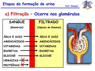 SANGUE
(Glomérulo)
ÁGUA E SAIS
AMINOÁCIDOS
VITAMINAS
EXCRETAS
GLICOSE
HEMÁCIAS
PROTEÍNAS
FILTRADO
(Cápsula de Bowman)
ÁGUA E SAIS
AMINOÁCIDOS
VITAMINAS
EXCRETAS
GLICOSE
Etapas da formação de urina Prof. Emanuel
a) Filtração – Ocorre nos glomérulos
 