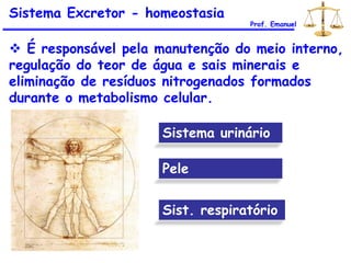 Sistema Excretor - homeostasia
Prof. Emanuel
 É responsável pela manutenção do meio interno,
regulação do teor de água e sais minerais e
eliminação de resíduos nitrogenados formados
durante o metabolismo celular.
Sistema urinário
Pele
Sist. respiratório
 