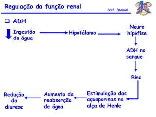 Regulação da função renal
 ADH
Ingestão
de água
Hipotálamo
Neuro
hipófise
ADH no
sangue
Rins
Estimulação das
aquaporinas na
alça de Henle
Aumento da
reabsorção
de água
Redução
da
diurese
Prof. Emanuel
 