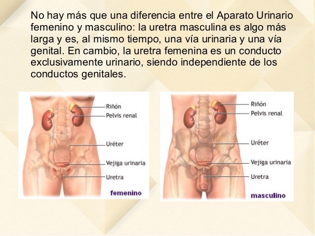 El vídeo a la osteocondrosis del departamento lumbar