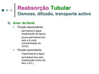 Reabsorção Tubular
Osmose, difusão, transporte activo
2) Ansa de Henle
 Porção descendente:
• permeável à água
(reabsorção de água);
• pouco permeável aos
sais e à ureia
(concentração da
urina);
 Porção ascendente:
• impermeável à água;
• permeável aos sais,
(reabsorção activa de
Na+ e Cl ).
 