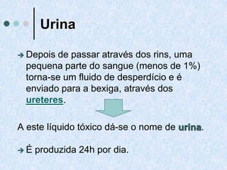 Urina
 Depois de passar através dos rins, uma
pequena parte do sangue (menos de 1%)
torna-se um fluido de desperdício e é
enviado para a bexiga, através dos
ureteres.
A este líquido tóxico dá-se o nome de urina.
 É produzida 24h por dia.
 