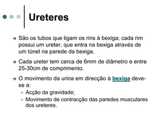 Ureteres
 São os tubos que ligam os rins à bexiga; cada rim
possui um ureter, que entra na bexiga através de
um túnel na parede da bexiga.
 Cada ureter tem cerca de 6mm de diâmetro e entre
25-30cm de comprimento.
 O movimento da urina em direcção à bexiga deve-
se a:
 Acção da gravidade;
 Movimento de contracção das paredes musculares
dos ureteres.
 