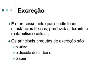 Excreção
 É o processo pelo qual se eliminam
substâncias tóxicas, produzidas durante o
metabolismo celular;
 Os principais produtos de excreção são:
 a urina,
 o dióxido de carbono,
 o suor.
 