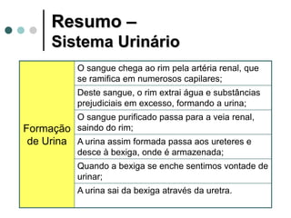 Resumo –
Sistema Urinário
Formação
de Urina
O sangue chega ao rim pela artéria renal, que
se ramifica em numerosos capilares;
Deste sangue, o rim extrai água e substâncias
prejudiciais em excesso, formando a urina;
O sangue purificado passa para a veia renal,
saindo do rim;
A urina assim formada passa aos ureteres e
desce à bexiga, onde é armazenada;
Quando a bexiga se enche sentimos vontade de
urinar;
A urina sai da bexiga através da uretra.
 