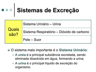 Sistemas de Excreção
Quais
são?
Sistema Urinário – Urina
Sistema Respiratório – Dióxido de carbono
Pele – Suor
 O sistema mais importante é o Sistema Urinário:
 A ureia é a principal substância excretada, sendo
eliminada dissolvida em água, formando a urina;
 A urina é o principal líquido de excreção do
organismo.
 