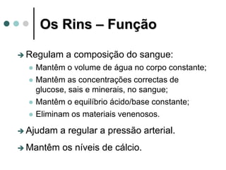 Os Rins – Função
 Regulam a composição do sangue:
 Mantêm o volume de água no corpo constante;
 Mantêm as concentrações correctas de
glucose, sais e minerais, no sangue;
 Mantêm o equilíbrio ácido/base constante;
 Eliminam os materiais venenosos.
 Ajudam a regular a pressão arterial.
 Mantêm os níveis de cálcio.
 
