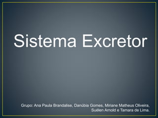 Sistema Excretor 
Grupo: Ana Paula Brandalise, Danúbia Gomes, Miriane Matheus Oliveira, 
Suélen Arnold e Tamara de Lima. 
 