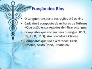 • O sangue transporta secreções até os rins
• Cada rim é composto de milhares de Néfrons
–Que estão encarregados de filtrar o sangue.
• Compostos que voltam para o sangue: H2O,
Na, Cl, K, HCO3, Aminoácidos e Glicose.
• Compostos que são excretados: Ureia,
Amônia, Acido Úrico, Creatinina.
 