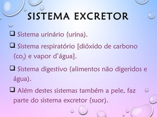SISTEMA EXCRETOR
 Sistema urinário (urina).
 Sistema respiratório [dióxido de carbono
(co2) e vapor d’água].
 Sistema digestivo (alimentos não digeridos e
água).
 Além destes sistemas também a pele, faz
parte do sistema excretor (suor).
 