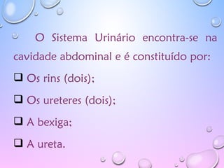 O Sistema Urinário encontra-se na
cavidade abdominal e é constituído por:
 Os rins (dois);
 Os ureteres (dois);
 A bexiga;
 A ureta.
 