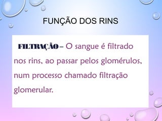 FUNÇÃO DOS RINS
FILTRAÇÃO – O sangue é filtrado
nos rins, ao passar pelos glomérulos,
num processo chamado filtração
glomerular.
 