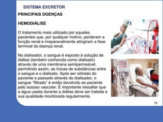 19
SISTEMA EXCRETORSISTEMA EXCRETOR
PRINCIPAIS DOENÇAS
HEMODIÁLISE
O tratamento mais utilizado por aqueles
pacientes que, por qualquer motivo, perderam a
função renal e irreparavelmente atingiram a fase
terminal da doença renal.
No dialisador, o sangue é exposto à solução de
diálise (também conhecida como dialisato)
através de uma membrana semipermeável,
permitindo assim, as trocas de substâncias entre
o sangue e o dialisato. Após ser retirado do
paciente e passado através do dialisador, o
sangue “filtrado” é então devolvido ao paciente
pelo acesso vascular. É importante ressaltar que
a água usada durante a diálise deve ser tratada e
sua qualidade monitorada regularmente.
 
