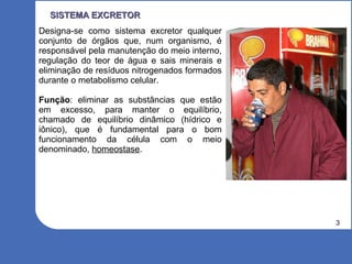 3
SISTEMA EXCRETORSISTEMA EXCRETOR
Designa-se como sistema excretor qualquer
conjunto de órgãos que, num organismo, é
responsável pela manutenção do meio interno,
regulação do teor de água e sais minerais e
eliminação de resíduos nitrogenados formados
durante o metabolismo celular.
Função: eliminar as substâncias que estão
em excesso, para manter o equilíbrio,
chamado de equilíbrio dinâmico (hídrico e
iônico), que é fundamental para o bom
funcionamento da célula com o meio
denominado, homeostase.
 