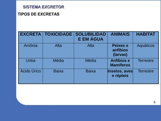 5
SISTEMA EXCRETORSISTEMA EXCRETOR
TIPOS DE EXCRETAS
EXCRETA TOXICIDADE SOLUBILIDAD
E EM ÁGUA
ANIMAIS HABITAT
Amônia Alta Alta Peixes e
anfíbios
(larvas)
Aquáticos
Uréia Média Média Anfíbios e
Mamíferos
Terrestre
Ácido Úrico Baixa Baixa Insetos, aves
e répteis
Terrestre
 