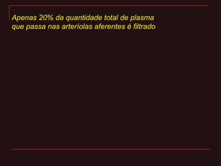 Apenas 20% da quantidade total de plasma
que passa nas arteríolas aferentes é filtrado
 