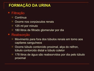 FORMAÇÃO DA URINAFORMAÇÃO DA URINA
 Filtração
 Contínua
 Ocorre nos corpúsculos renais
 125 ml por minuto
 180 litros de filtrado glomerular por dia
 Reabsorção
 Movimento para fora dos túbulos renais em torno aos
capilares sanguíneos
 Ocorre túbulo contorcido proximal, alça do néfron,
túbulo contorcido distal e túbulo coletor
 178 litros de água são reabsorvidos por dia pelo túbulo
proximal
 