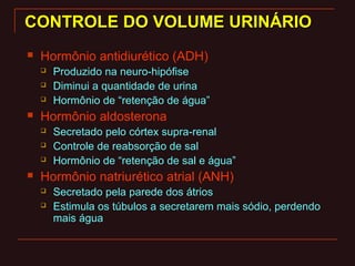 CONTROLE DO VOLUME URINÁRIOCONTROLE DO VOLUME URINÁRIO
 Hormônio antidiurético (ADH)
 Produzido na neuro-hipófise
 Diminui a quantidade de urina
 Hormônio de “retenção de água”
 Hormônio aldosterona
 Secretado pelo córtex supra-renal
 Controle de reabsorção de sal
 Hormônio de “retenção de sal e água”
 Hormônio natriurético atrial (ANH)
 Secretado pela parede dos átrios
 Estimula os túbulos a secretarem mais sódio, perdendo
mais água
 