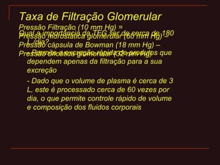 Qual a importância da TFG ser de cerca de 180
L /dia?
- Permite a excreção rápida de produtos que
dependem apenas da filtração para a sua
excreção
- Dado que o volume de plasma é cerca de 3
L, este é processado cerca de 60 vezes por
dia, o que permite controle rápido de volume
e composição dos fluidos corporais
Taxa de Filtração Glomerular
Pressão Filtração (10 mm Hg) =
Pressão hidrostática glomerular (60 mm Hg) –
Pressão cápsula de Bowman (18 mm Hg) –
Pressão oncótica glomerular (32 mm Hg)
 