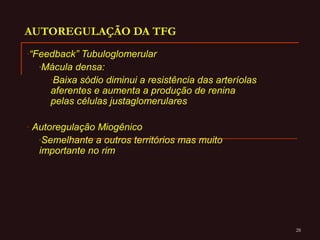 28
AUTOREGULAÇÃO DA TFG
-“Feedback” Tubuloglomerular
-Mácula densa:
-Baixa sódio diminui a resistência das arteríolas
aferentes e aumenta a produção de renina
pelas células justaglomerulares
- Autoregulação Miogênico
-Semelhante a outros territórios mas muito
importante no rim
 