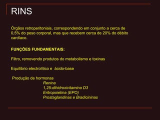 Órgãos retroperitoniais, correspondendo em conjunto a cerca de
0,5% do peso corporal, mas que recebem cerca de 20% do débito
cardíaco.
RINS
FUNÇÕES FUNDAMENTAIS:
Filtro, removendo produtos do metabolismo e toxinas
Equilíbrio electrolítico e ácido-base
Produção de hormonas
Renina
1,25-dihidroxivitamina D3
Eritropoietina (EPO)
Prostaglandinas e Bradicininas
 
