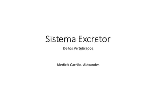 Sistema Excretor
De los Vertebrados
Medicis Carrillo, Alexander
 