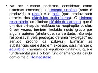 • No ser humano podemos considerar como
  sistemas excretores o sistema urinário (onde é
  produzida a urina) e a pele (que produz suor
  através das glândulas sudoríparas). O sistema
  respiratório, ao eliminar dióxido de carbono, que é
  um dos principais resíduos da respiração celular,
  é por vezes, também incluído neste grupo por
  alguns autores (ainda que, na verdade, não seja
  responsável pela produção de uma "excreção" no
  sentido próprio da palavra). Eliminar as
  substâncias que estão em excesso, para manter o
  equilíbrio, chamado de equilíbrio dinâmico, que é
  fundamental para o bom funcionamento da célula
  com o meio. Homeostase.
 