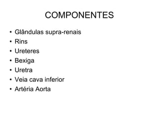 COMPONENTES Glândulas supra-renais Rins Ureteres Bexiga Uretra Veia cava inferior Artéria Aorta 