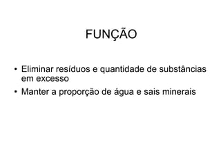 FUNÇÃO Eliminar resíduos e quantidade de substâncias em excesso Manter a proporção de água e sais minerais 