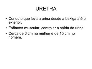 URETRA Conduto que leva a urina desde a bexiga até o exterior.  Esfíncter muscular, controlar a saída da urina. Cerca de 6 cm na mulher e de 15 cm no homem. 