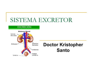 SISTEMA EXCRETOR
Doctor Kristopher
Santo
 
