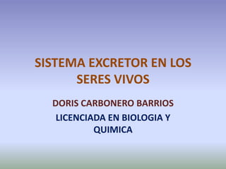 Sistema excretor en los seres vivos