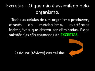 Excretas – O que não é assimilado pelo
organismo.
Todas as células de um organismo produzem,
através do metabolismo, substâncias
indesejáveis que devem ser eliminadas. Essas
substâncias são chamadas de EXCRETAS.
Resíduos (tóxicos) das células
 