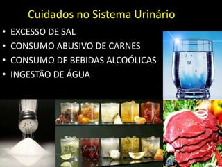Cuidados no Sistema Urinário
• EXCESSO DE SAL
• CONSUMO ABUSIVO DE CARNES
• CONSUMO DE BEBIDAS ALCOÓLICAS
• INGESTÃO DE ÁGUA
 