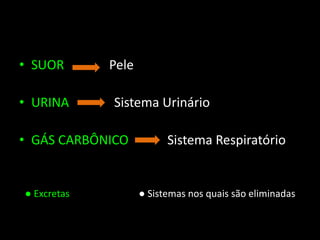 • SUOR Pele
• URINA Sistema Urinário
• GÁS CARBÔNICO Sistema Respiratório
● Excretas ● Sistemas nos quais são eliminadas
 