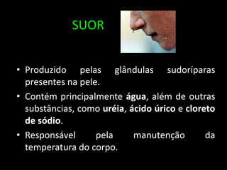 SUOR
• Produzido pelas glândulas sudoríparas
presentes na pele.
• Contém principalmente água, além de outras
substâncias, como uréia, ácido úrico e cloreto
de sódio.
• Responsável pela manutenção da
temperatura do corpo.
 