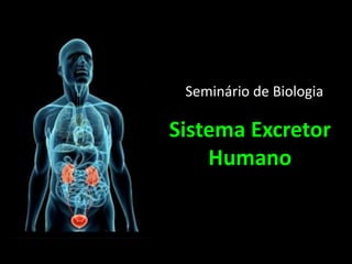 Sistema Excretor
Humano
Seminário de Biologia
 