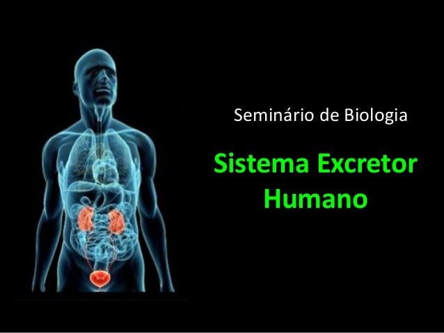 Capa de slide para seminario