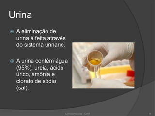 Urina
 A eliminação de
urina é feita através
do sistema urinário.
 A urina contém água
(95%), ureia, ácido
úrico, amônia e
cloreto de sódio
(sal).
Ciências Naturais - ICRM 16
 