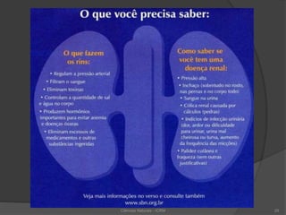 Ciências Naturais - ICRM 29
 