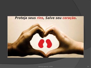 Ciências Naturais - ICRM 30
 