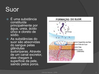 Suor
 É uma substância
constituída
principalmente por
água, ureia, ácido
úrico e cloreto de
sódio.
 As substâncias do
suor são absorvidas
do sangue pelas
glândulas
sudoríparas. Através
de um canal excretor,
elas chegam à
superfície da pele,
saindo pelos poros.
Ciências Naturais - ICRM 5
 