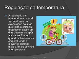 Regulação da temperatura
 A regulação da
temperatura corporal
se dá através da
evaporação do suor,
que retira o calor do
organismo, assim em
dias quentes ou após
atividades físicas
quando a temperatura
corporal tende a
elevar-se suamos
mais a fim de diminuir
a temperatura.
Ciências Naturais - ICRM 6
 