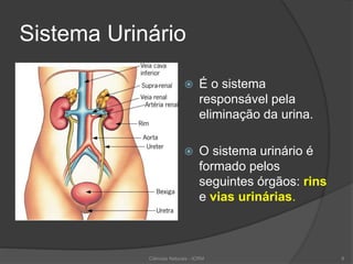 Sistema Urinário
 É o sistema
responsável pela
eliminação da urina.
 O sistema urinário é
formado pelos
seguintes órgãos: rins
e vias urinárias.
Ciências Naturais - ICRM 8
 