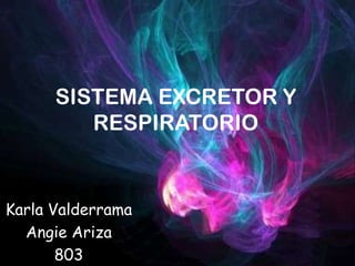 SISTEMA EXCRETOR Y
RESPIRATORIO
Karla Valderrama
Angie Ariza
803
 