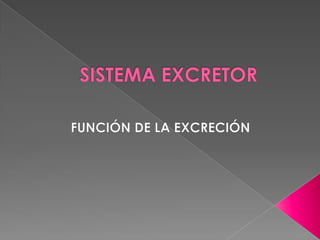 SISTEMA EXCRETOR FUNCIÓN DE LA EXCRECIÓN 