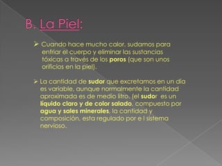 B. La Piel:Cuando hace mucho calor, sudamos para     enfriar el cuerpo y eliminar las sustancias     tóxicas a través de los poros (que son unos      orificios en la piel).  La cantidad de sudor que excretamos en un día    es variable, aunque normalmente la cantidad    aproximada es de medio litro. (el sudor  es un    líquido claro y de color salado, compuesto por agua y sales minerales, la cantidad y    composición, esta regulado por e l sistema    nervioso.