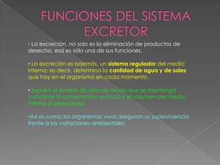 El dióxido de carbono producido, como desecho metabólico, se elimina de la sangre en los pulmones y sale al exterior a través de las fosas nasales o la boca.FUNCIONES DEL SISTEMA EXCRETORLa excreción, no solo es la eliminación de productos de desecho, esa es sólo una de sus funciones. 