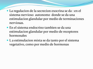La regulacion de la secrecion exocrina se da : en el sistema nervioso  autonomo  donde se da una estimulacion glandular por medio de terminaciones nerviosas.En el sistema endocrino tambien se da una estimulacion glandular por medio de receptores hormonales	L a estimulacion mixta se da tanto por el sistema vegetativo, como por medio de hormonas